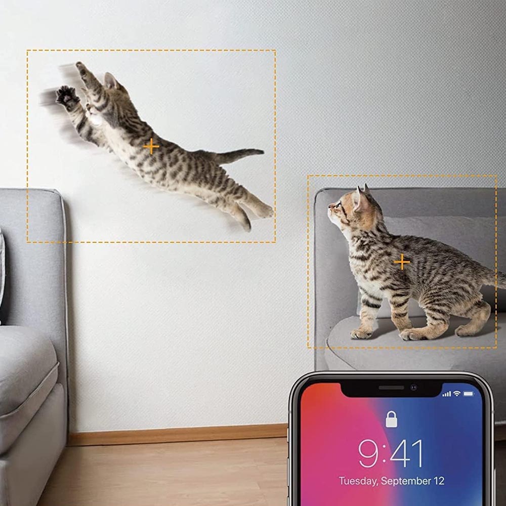 Cámara WiFi motorizada Sonar blanca Dexel Smart