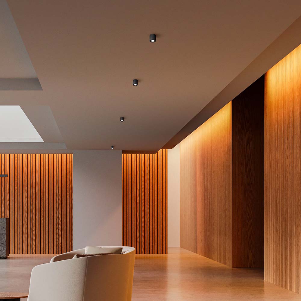 ODB sobrepuesto Cylinder redondo negro para GU10 Ø80mm