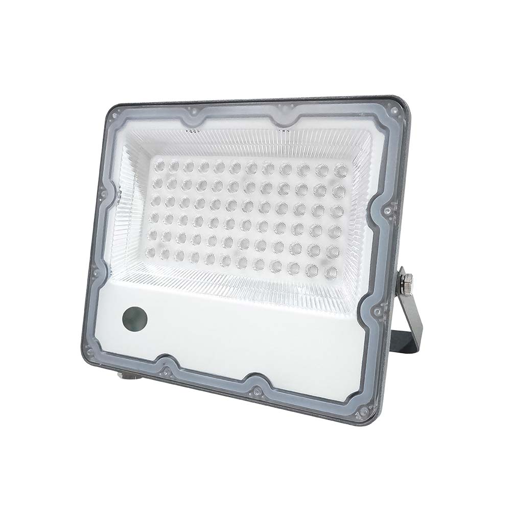 Proyector Led RGB con control 50W FP>0.9 IK08 IP65