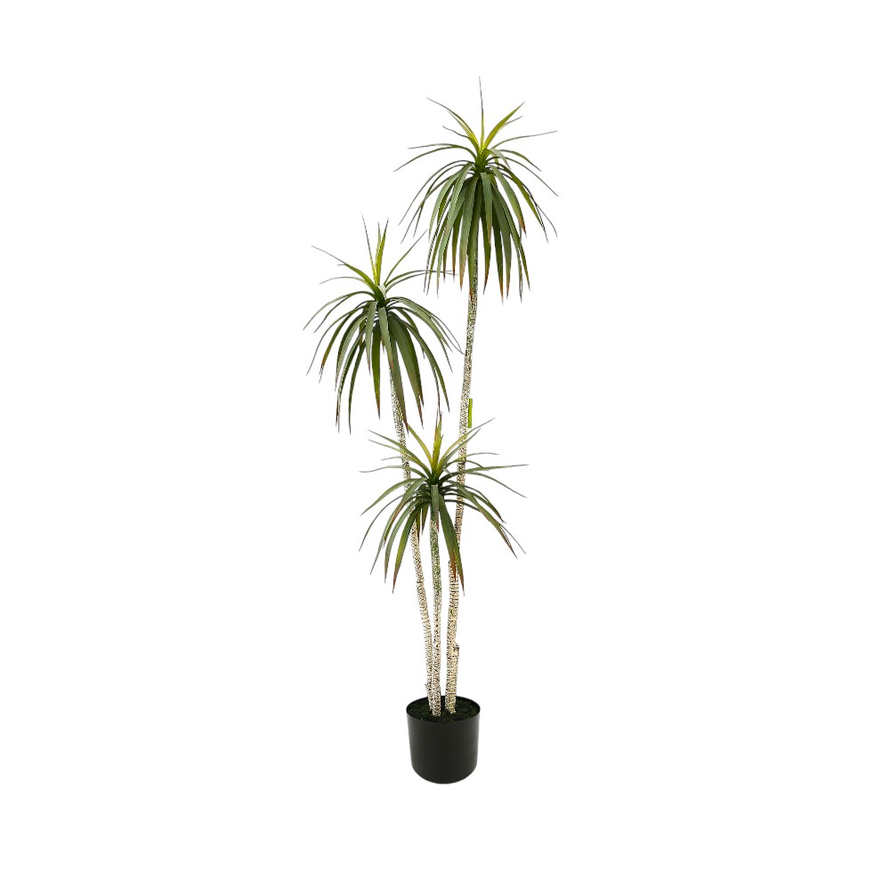 Planta artificial Palma con maceta color negro H181 cm
